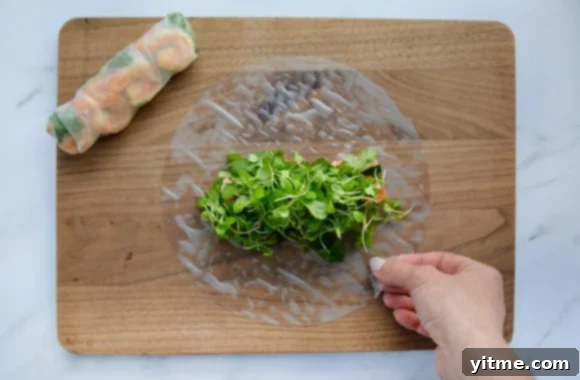 Making Thai Spring Rolls