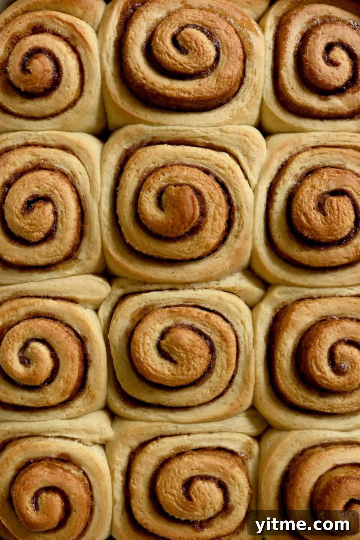 Golden brown unfrosted cinnamon rolls