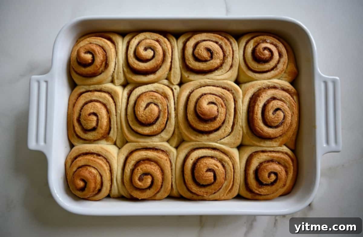 Baked and unfrosted cinnamon rolls