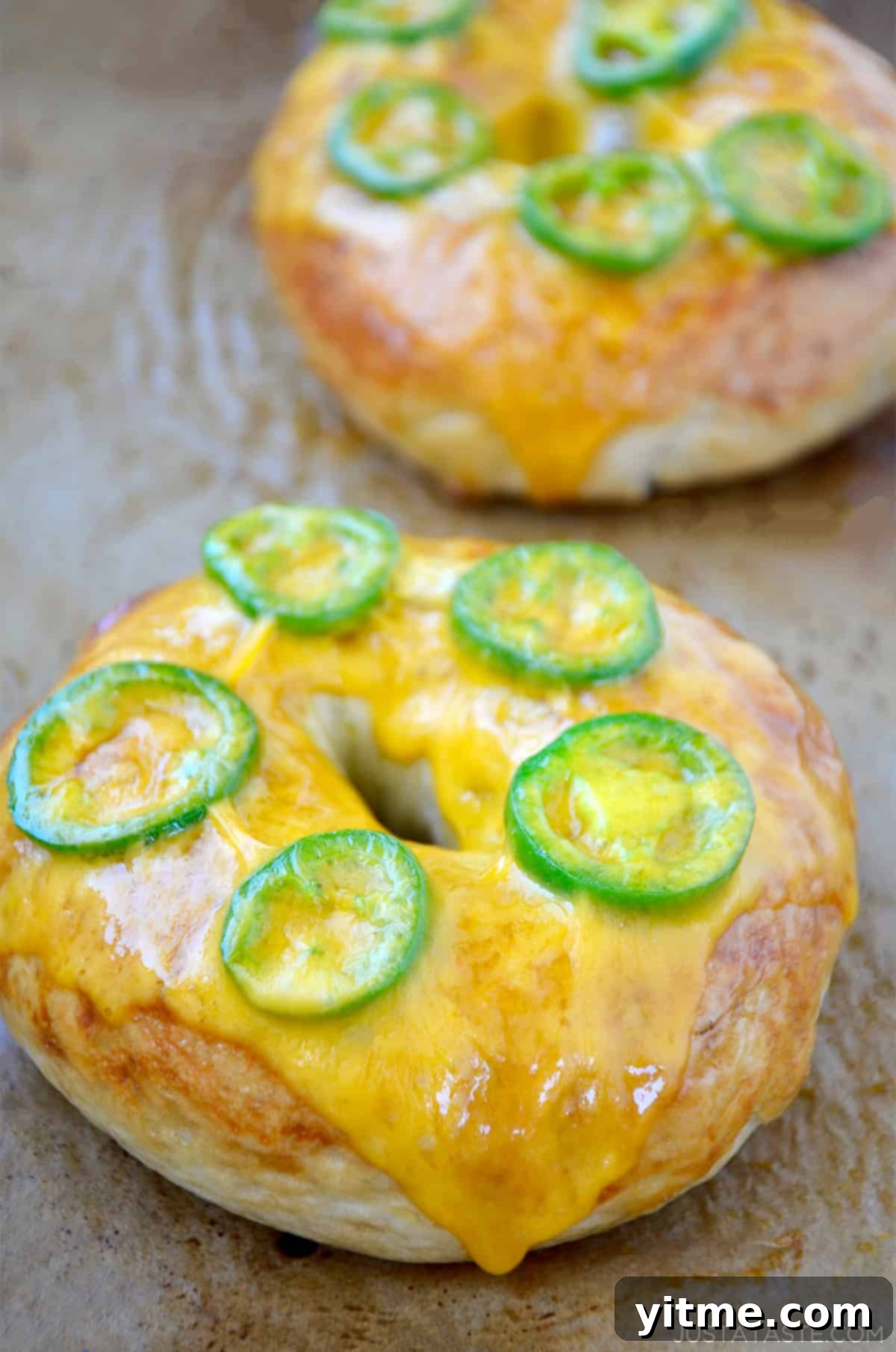 Homemade jalapeño cheddar bagels fresh out of the oven.