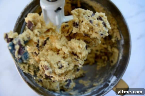 Stand mixer with skillet chocolate chip cookie dough 