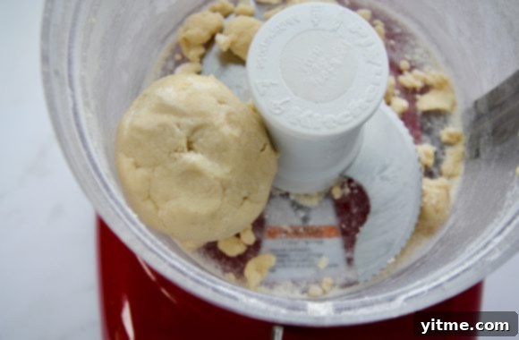 Homemade Pop Tarts: Double the Deliciousness 3 Food processor with homemade pop tarts dough