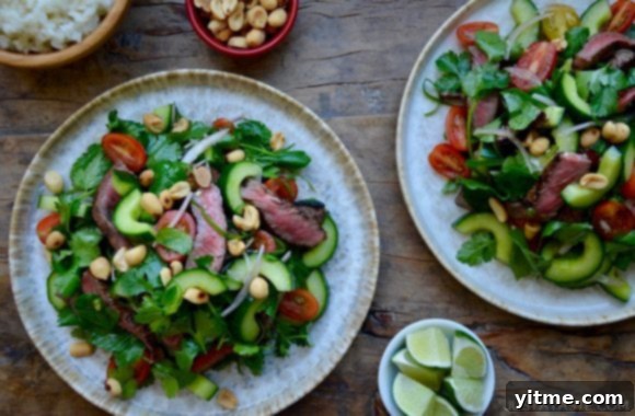 Two plates of beautifully plated Thai Beef Salad next to two small bowls containing extra peanuts and lime wedges.
