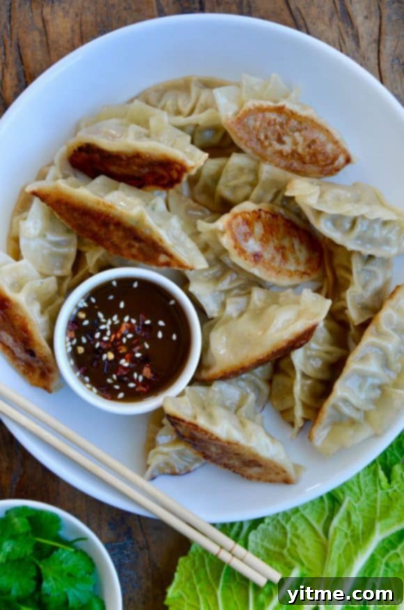 Pork Potstickers with Citrus-Soy Dipping Sauce on white plate with chopsticks