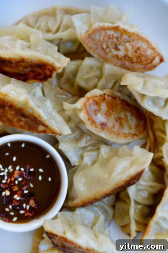 Closeup view of homemade Pork Potstickers with Citrus-Soy Dipping Sauce
