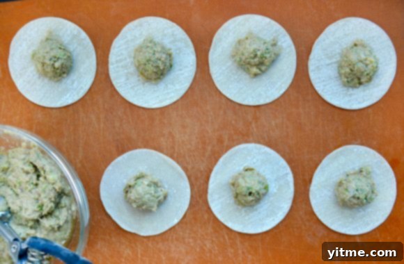 Gyoza wrappers with pork potstickers filling on wood cutting board 