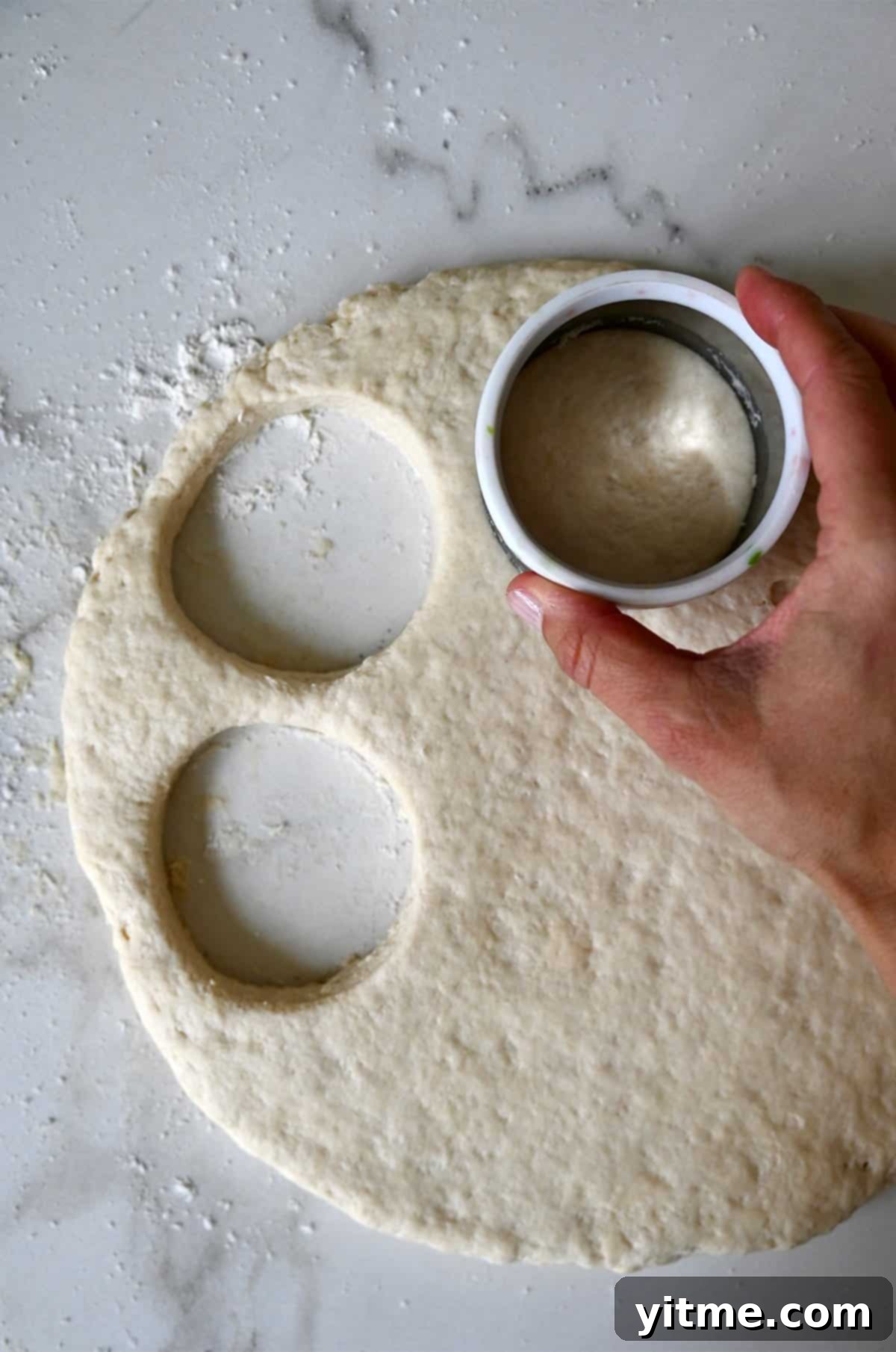 Using a round biscuit cutter to cut out biscuit dough.