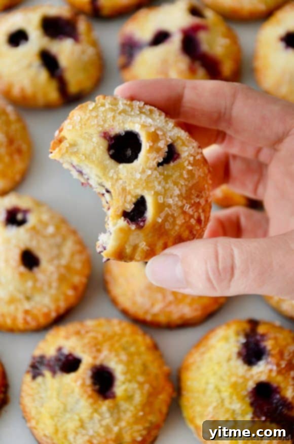 Effortless Blueberry Mini Pies 2 A hand holding a blueberry hand pie with more hand pies in the background