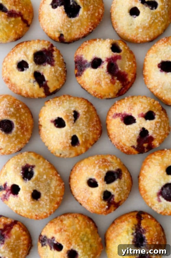 Effortless Blueberry Mini Pies 3 A close-up of blueberry hand pies lined up on a white background
