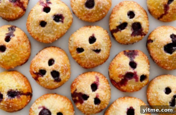 Effortless Blueberry Mini Pies 7 A close-up of blueberry hand pies on a white background