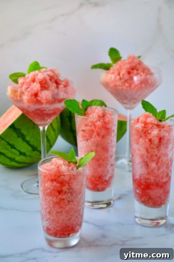 Various sized cocktail glasses filled with Boozy Watermelon Granita and fresh mint