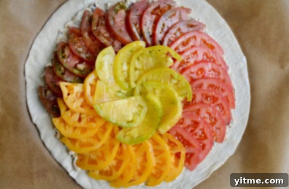 Golden Tomato and Sweet Onion Cheese Tart 6 Unbaked cheesy tomato tart with caramelized onions on brown parchment paper