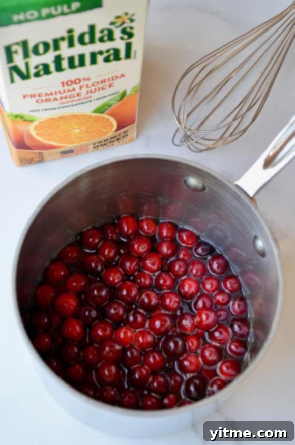 A saucepot filled with cranberries and orange juice