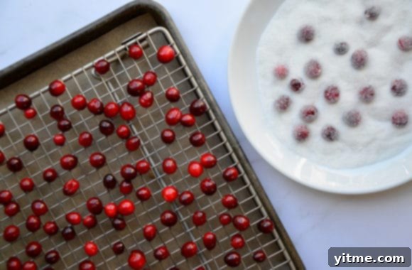 Sugared cranberries on a baking rack and a plate of sugar next to it
