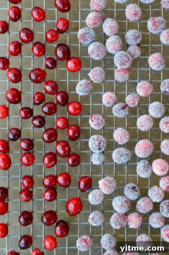A baking wrack with sugared cranberries scattered on top