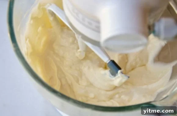 A clear stand mixer bowl with cheesecake filling inside