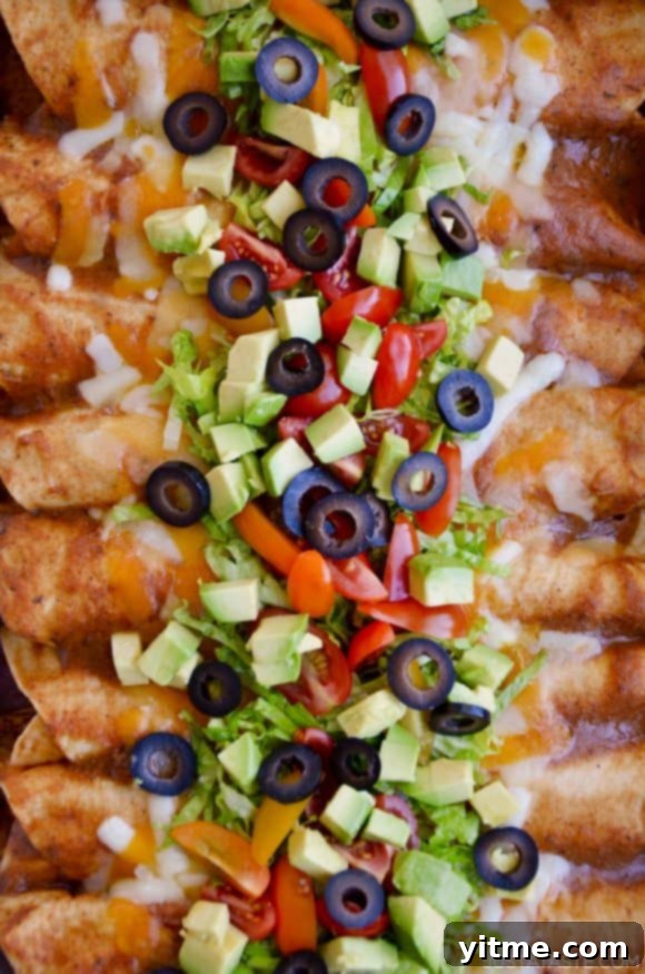 A close-up view of chicken enchiladas topped with fresh avocado, olives, and melted cheese, ready to serve