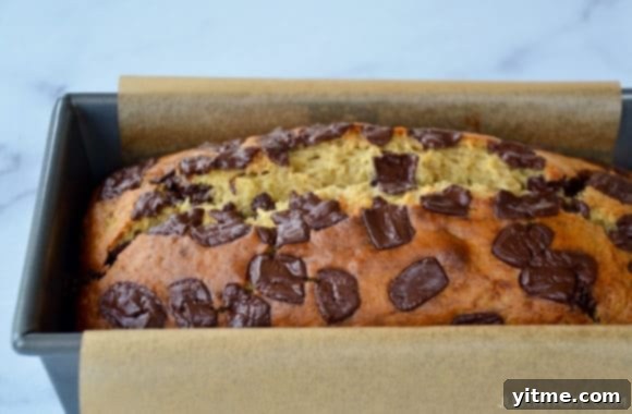 Easy Olive Oil Banana Bread with chocolate chunks in parchment paper-lined loaf pan