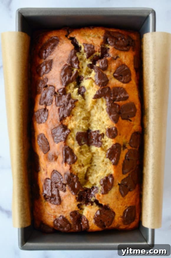 Olive Oil Banana Bread in parchment-lined bread pan