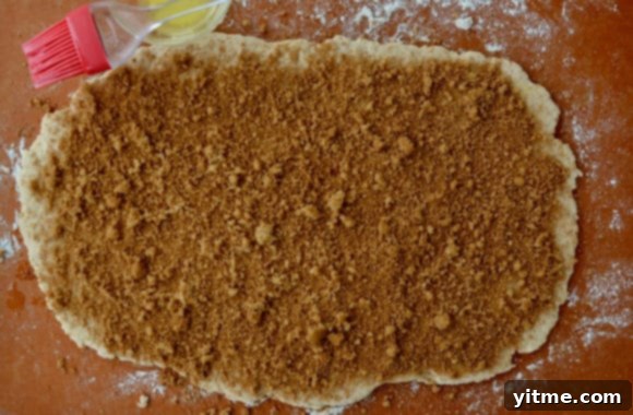 Effortless Cinnamon Swirls: A No-Yeast Recipe 5 Cinnamon roll dough rolled out with cinnamon and sugar sprinkled on top