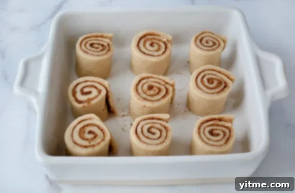 Effortless Cinnamon Swirls: A No-Yeast Recipe 6 Unbaked cinnamon rolls arranged in a baking dish