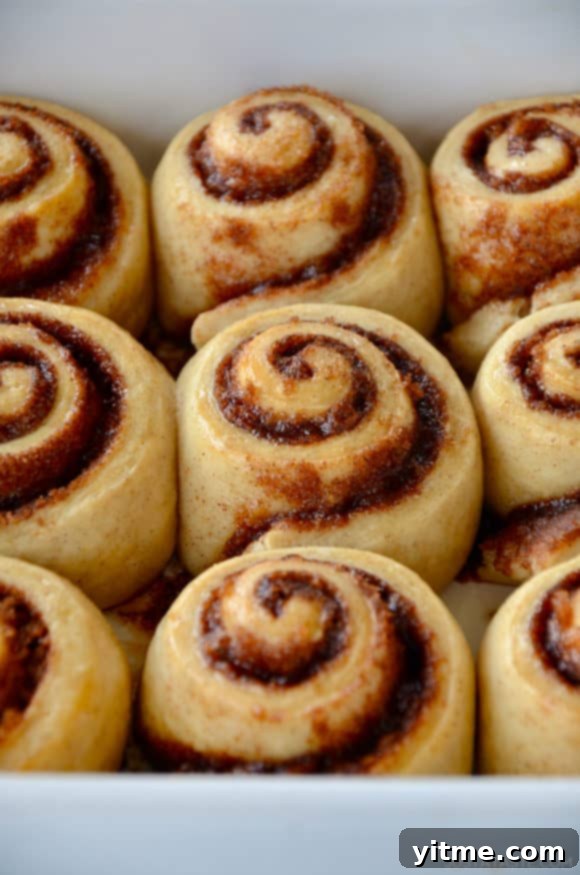 Effortless Cinnamon Swirls: A No-Yeast Recipe 7 A close-up of unfrosted cinnamon rolls