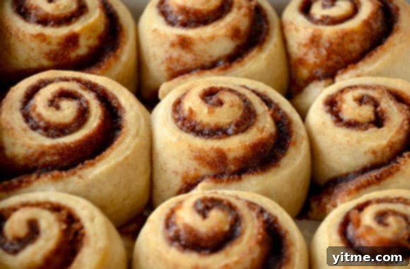 Effortless Cinnamon Swirls: A No-Yeast Recipe 9 A close-up of no-yeast cinnamon rolls