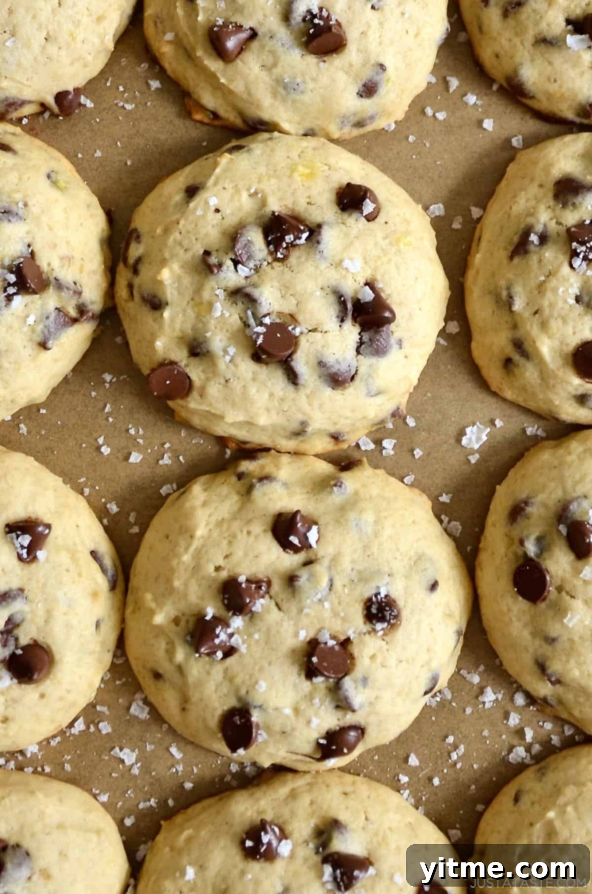 Bakery-style banana chocolate chip cookies with sea salt.