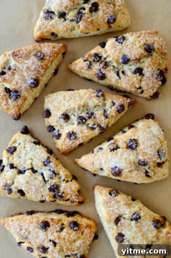 Top down view of easy Sour Cream Chocolate Chip Scones