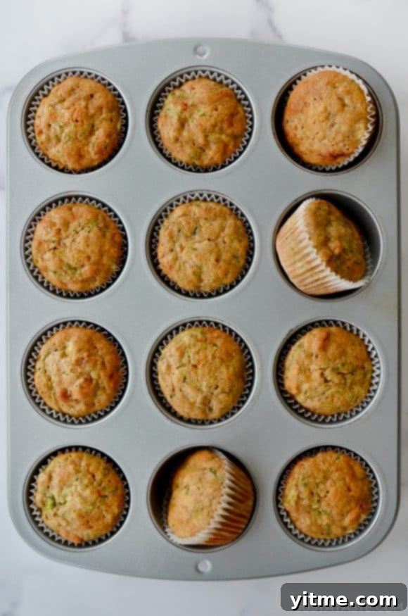 Muffin tin with homemade Zucchini Banana Muffins