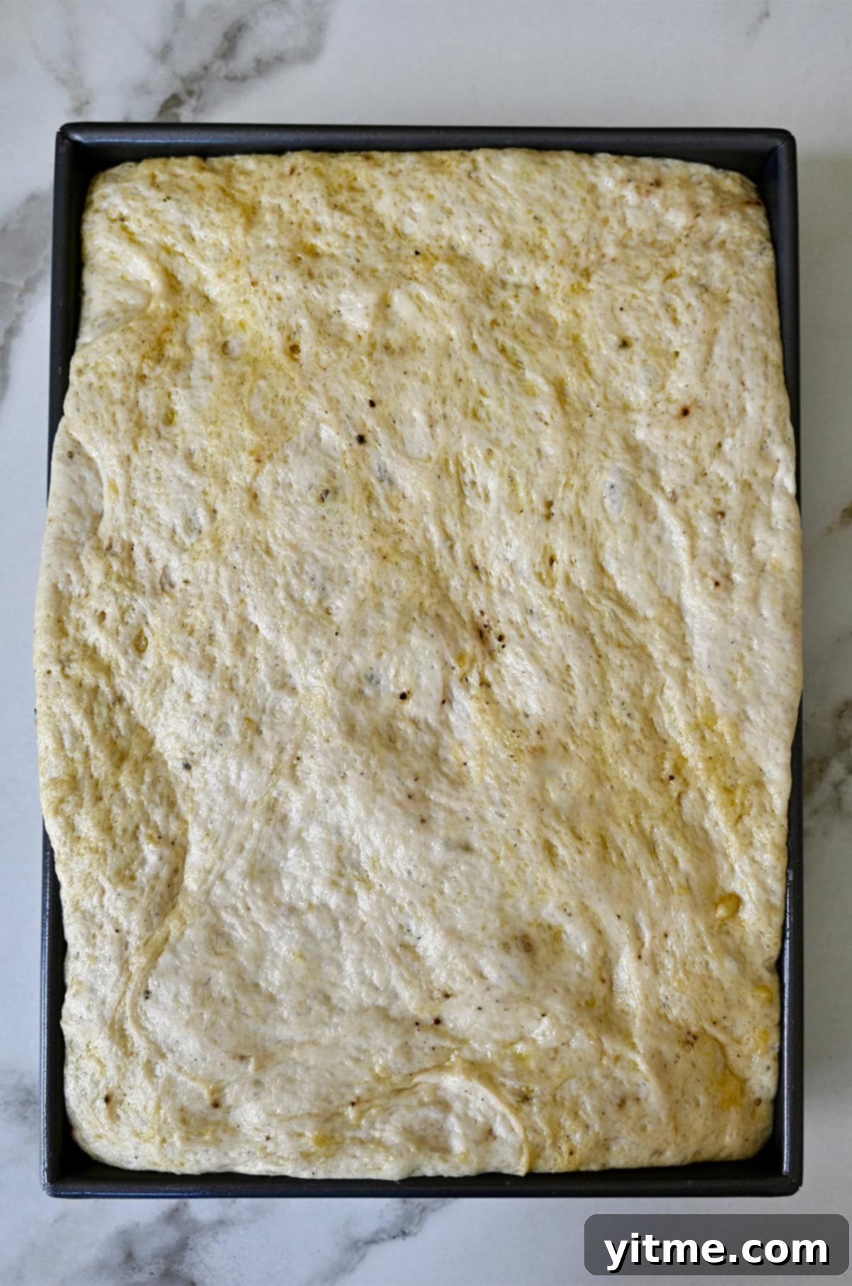Second proof of focaccia bread dough in a 13x9 metal baking pan.
