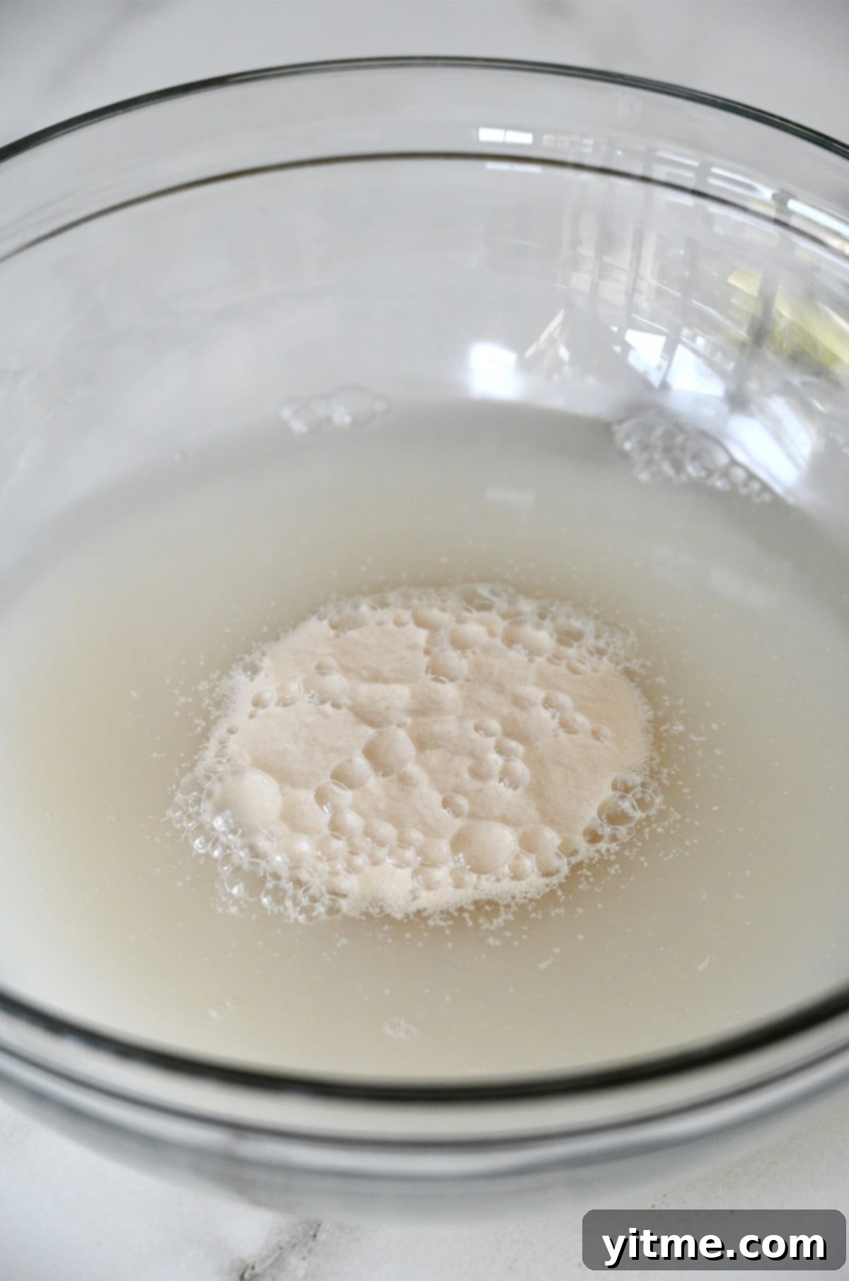 Frothy, activated yeast in water in a glass bowl.