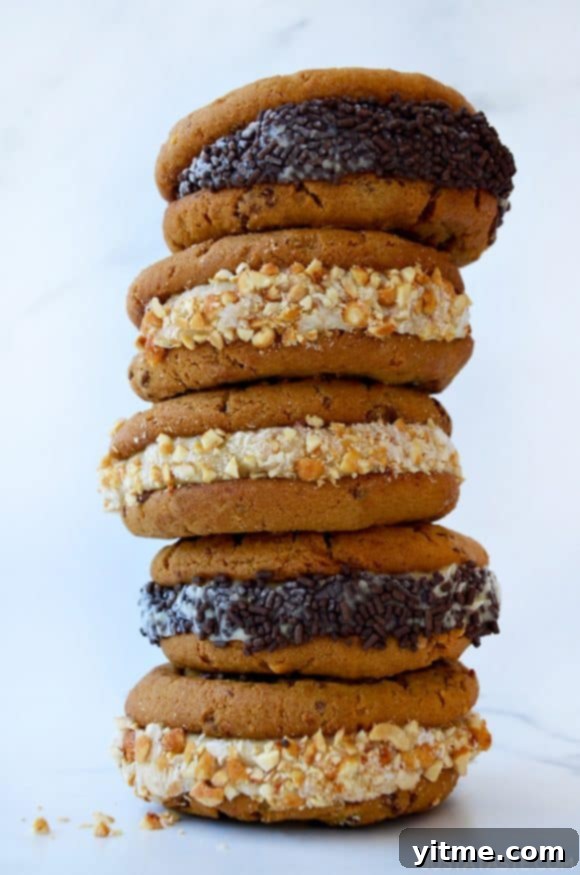 A stack of cookies sandwiches rolled in crushed peanuts and chocolate sprinkles