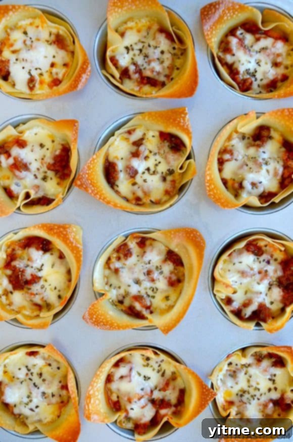 Muffin Tin Lasagna Cups topped with mozzarella cheese