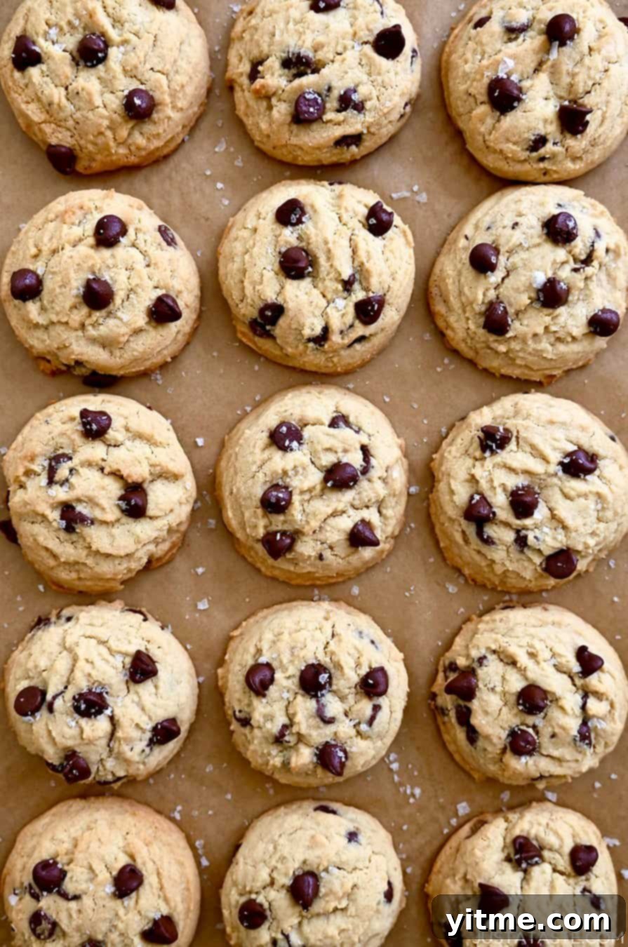 High Altitude Chocolate Chip Cookies topped with sea salt, viewed from above
