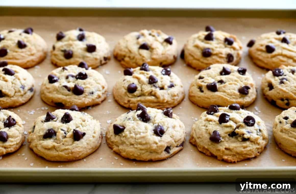 High Altitude Cookies with sea salt on a baking sheet