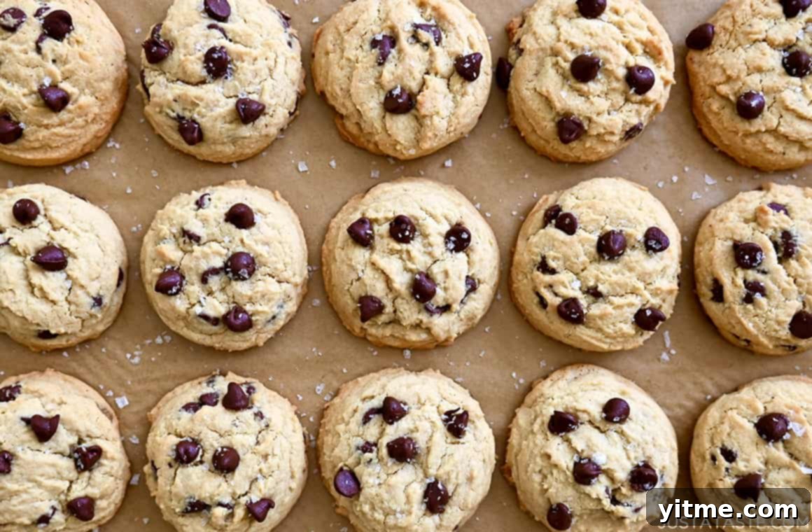 Close-up of High Altitude Chocolate Chip Cookies with chocolate chips