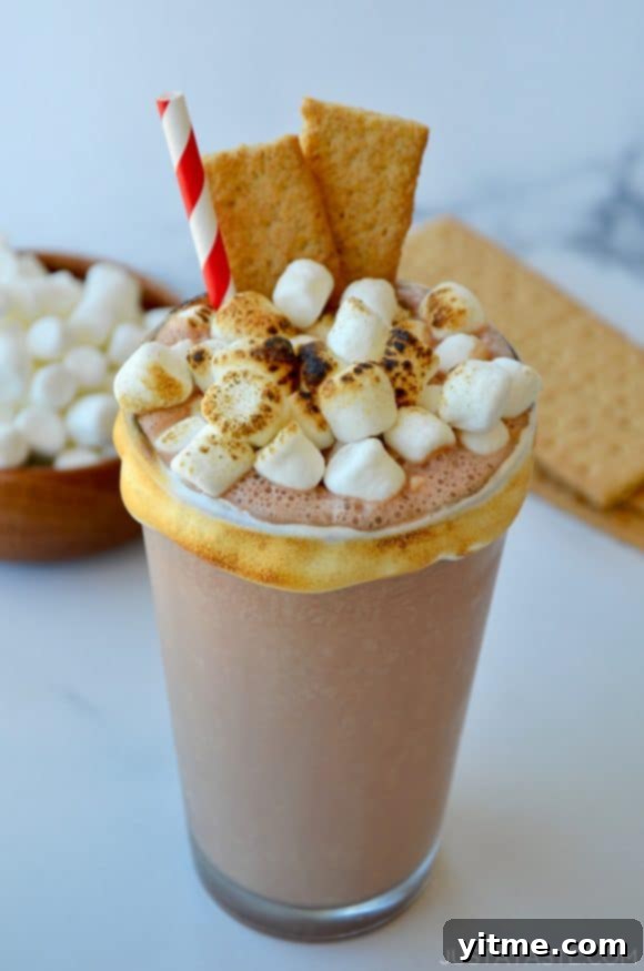 S'Mores Milkshake with toasted mini marshmallows and graham cracker garnish, a perfect summer dessert recipe