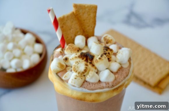 Easy S'mores Milkshake recipe garnished with perfectly toasted mini marshmallows and a sprinkle of graham cracker crumbs, served in tall glasses