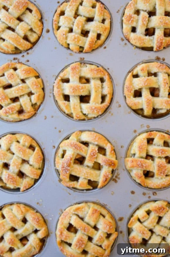 Top down view of Muffin Tin Mini Apple Pies