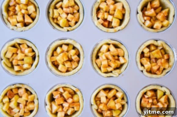 Muffin pan containing unbaked mini pies