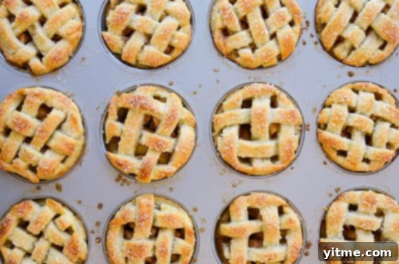 Homemade Muffin Tin Mini Apple Pies dusted with sanding sugar