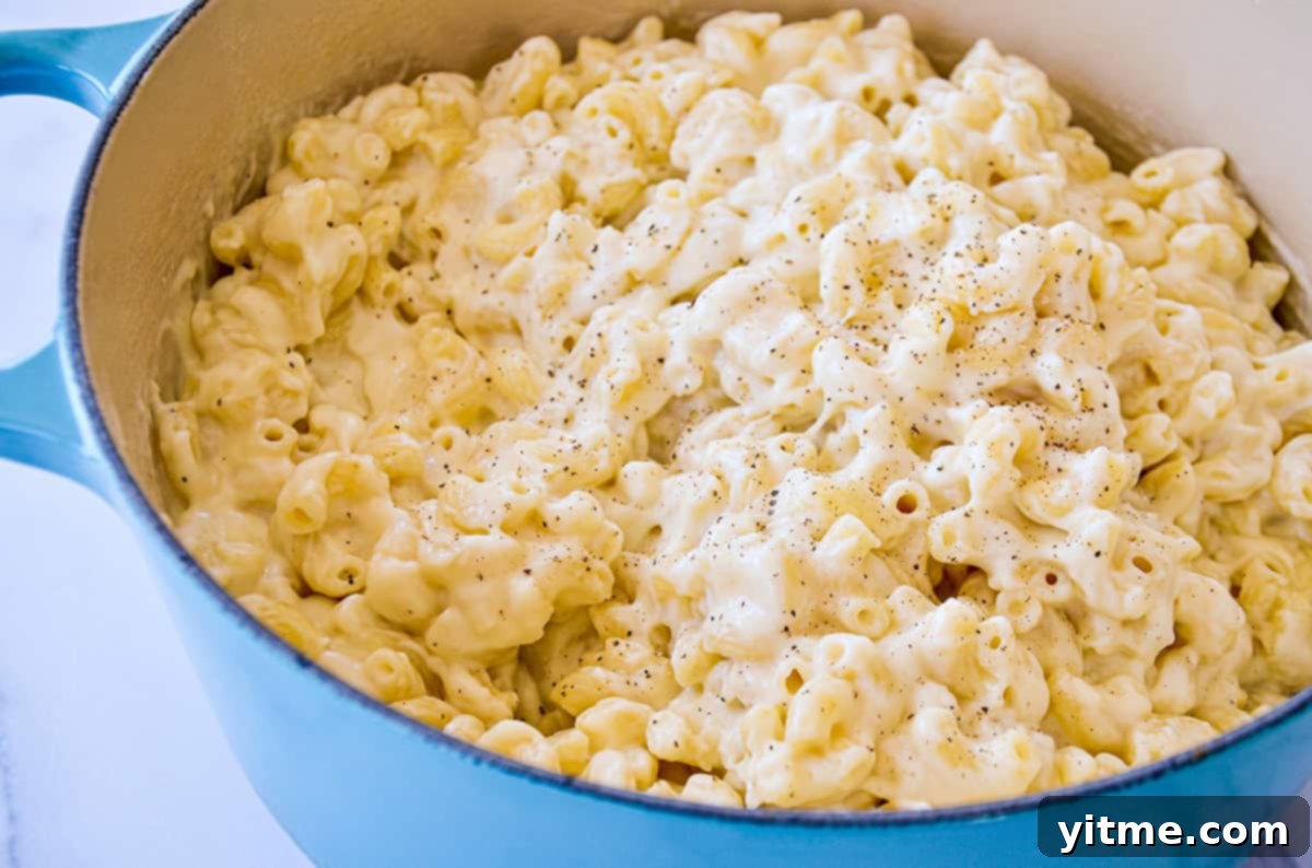 Sharp & Speedy: 30-Minute White Cheddar Mac 5 Finished White Cheddar Mac and Cheese