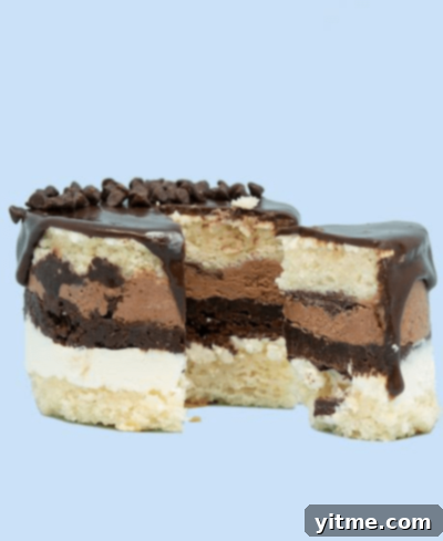 Melanie Moss Founder of Mini Melanie 5 Mini Melanie Mini Cakes