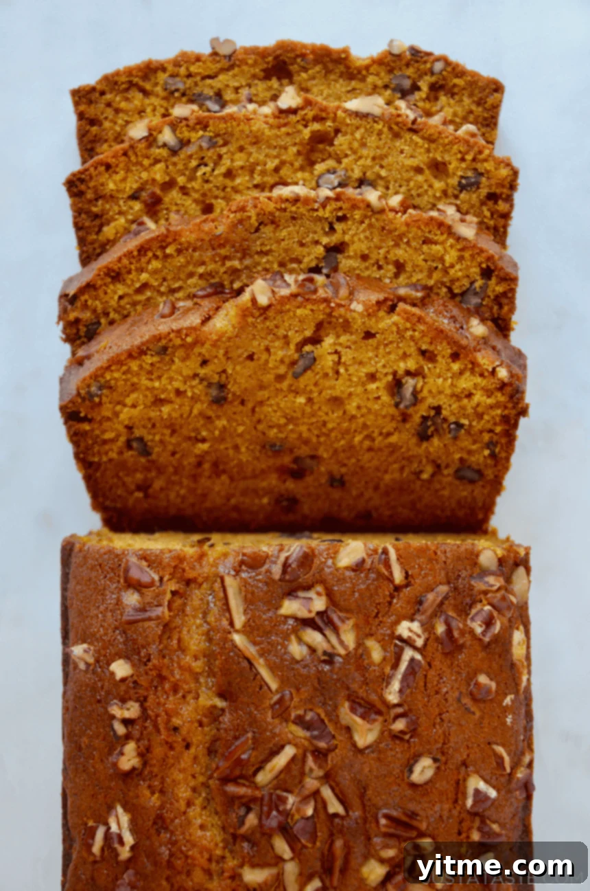 Ultimate Autumn Pumpkin Bread 2 A beautifully baked loaf of pumpkin bread, generously topped with chopped pecans, with four slices neatly arranged beside it, showcasing its moist texture.