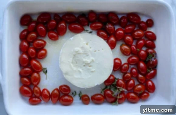 Brie cheese surrounded by cherry tomatoes