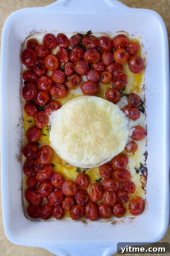 Baked brie and roasted tomatoes in a baking dish