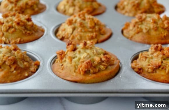 Closeup of baked muffins in greased muffin pan