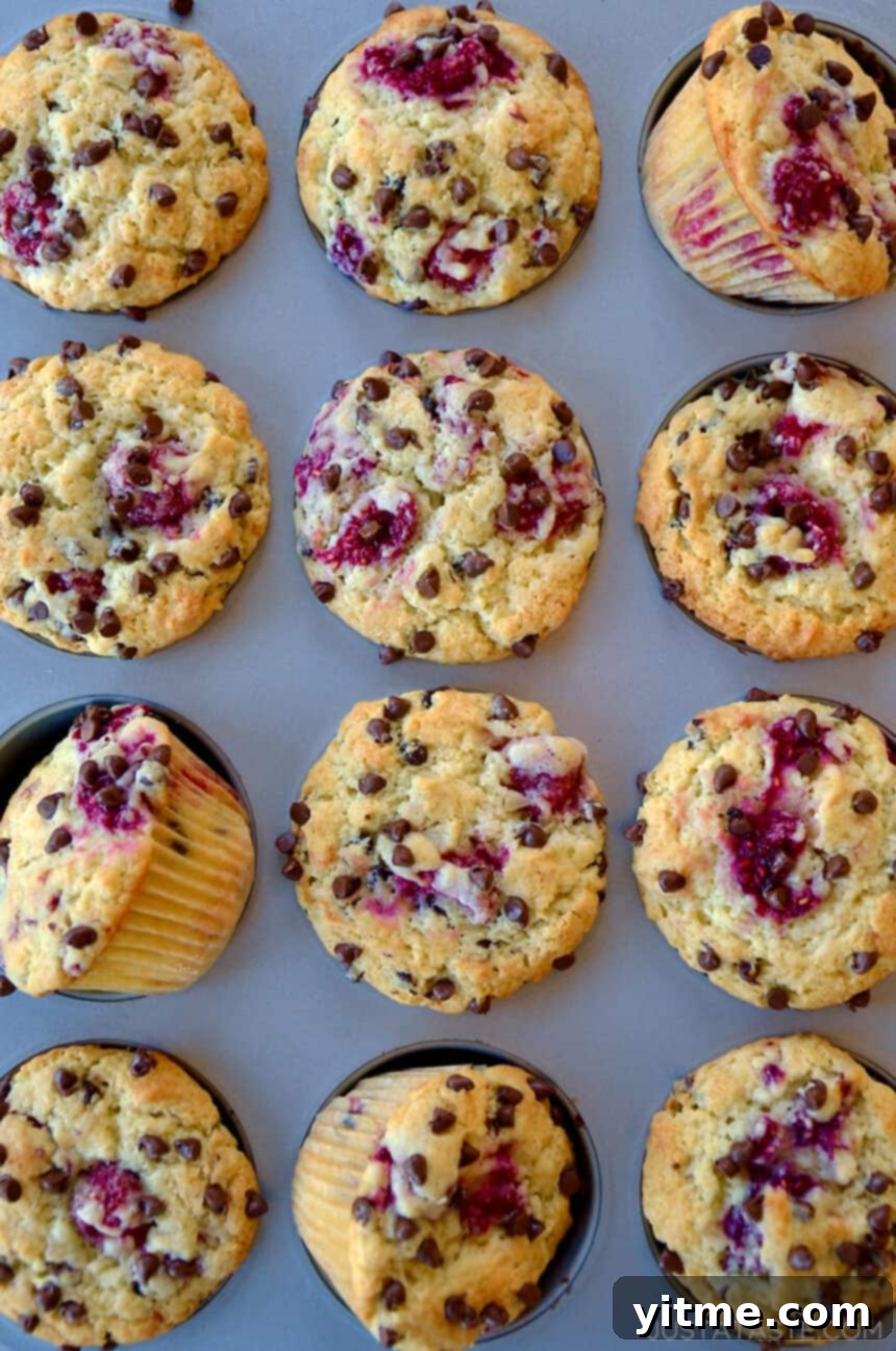 Overhead view of homemade Raspberry Chocolate Chip Muffins, freshly baked and ready to eat.