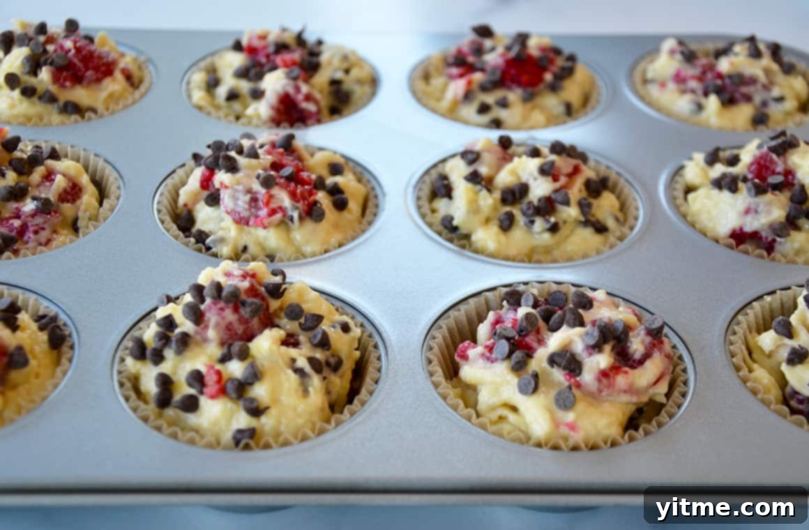 Close-up of Raspberry Chocolate Chip Muffins, showcasing the moist crumb and the blend of raspberries and chocolate chips.